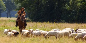 13 augustus 2014 - Borger 2      