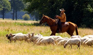 13 augustus 2014 - Borger 3      