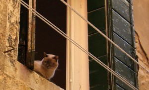 19 juli 2010 - Venetie 15