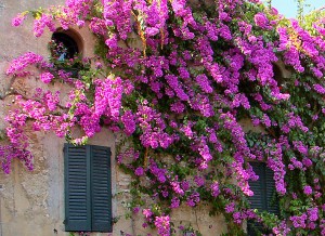 20 juli 2010 - Sirmione 16