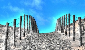 Duinen - 9 januari 2012 - Katwijk
